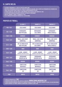 Inscripcions Basket Camp